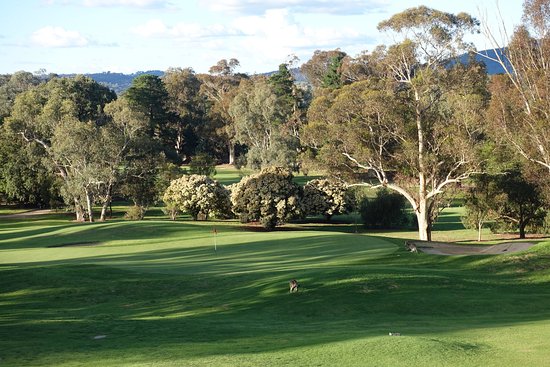Commercial Albury Golf Resort